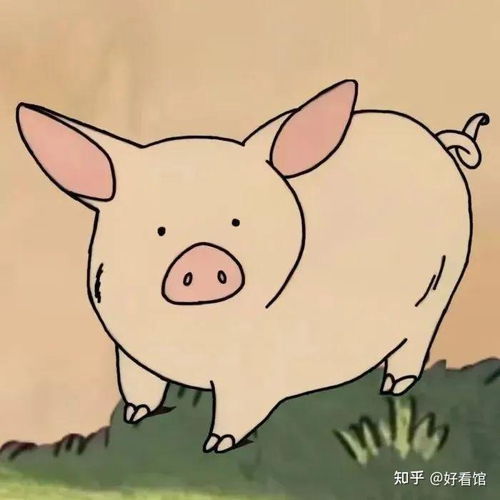  搞怪沙雕情侣头像笑到窒息的沙雕头像情侣奇葩逗比情侣头像一对搞笑情头一对两张