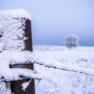  寒冬雪景微信头像图片眼见之处都是晃眼的洁白