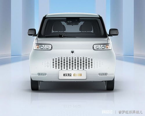  欧拉旗下更具性价比的白猫汽车