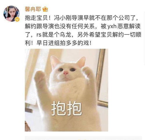 宋威龙微信头像蒋依依