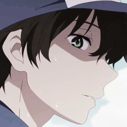  动漫男头千千万,折木奉太郎占一半