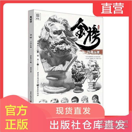  金榜石膏头像2020敲门砖贾杰李家友素描基础形体五官照片大关系