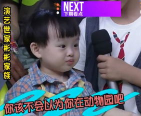  爸爸去哪儿2热门轮换候选人登场彬彬小儿子萌萌彬把何炅当宠物喂