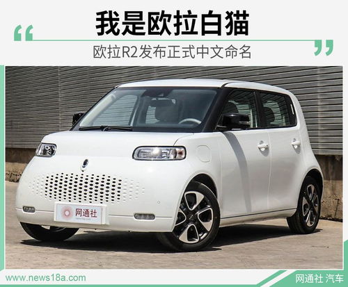  猫狗都齐了欧拉r2正式命名欧拉白猫