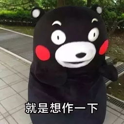  北风三百里的美拍