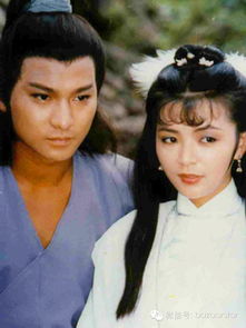  包子版小龙女太美,杨过已吐血丨那些年我们看过的姑姑