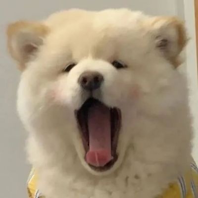 发财狗头像可爱属马