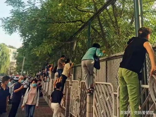  第一节构图