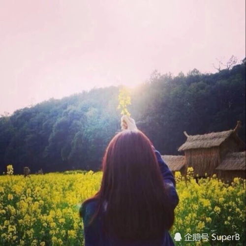  天秤座2021年还有多少桃花