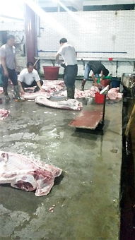  海南澄迈生猪批发户疑用不明液体致白猪变黑猪