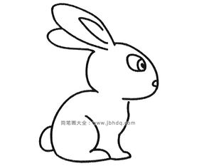  六张可爱的小兔子简笔画图片