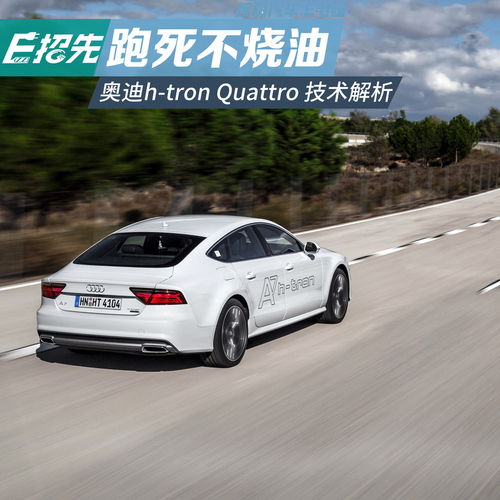  htronquattro报价htronquattro图片htronquattro参数htronquattro文章htronquattro视频htronquattro口碑