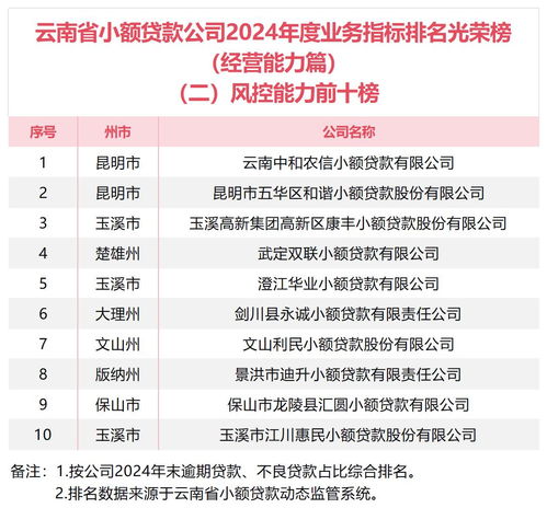  云南省小额贷款协会发布2024年度贷款发放等排名情况