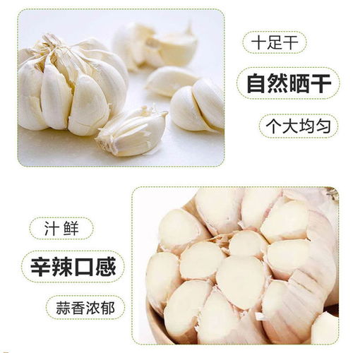  2020年新蒜干蒜河南大蒜新鲜紫皮干蒜头235斤腌糖蒜