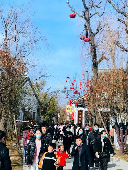  春节假期前四天日进万名游客,临沂龙园有什么可吸引人的