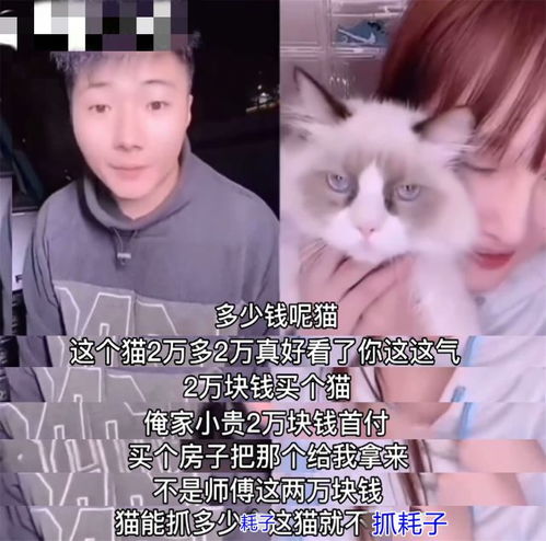  赵本山女儿31万买包,2万买猫,好友惊呼2万够我徒弟房子首付了