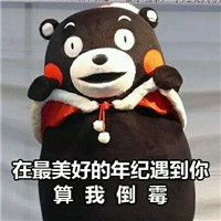  熊本熊经典表情包大合辑有生之年遇见你花光了我所有积蓄