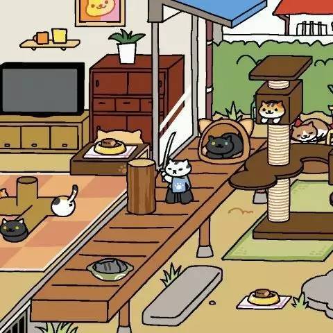  我们会有猫的云养猫玩家必备手游