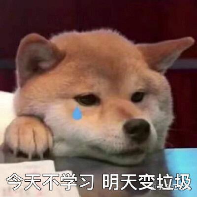 汪的个性头像大爷
