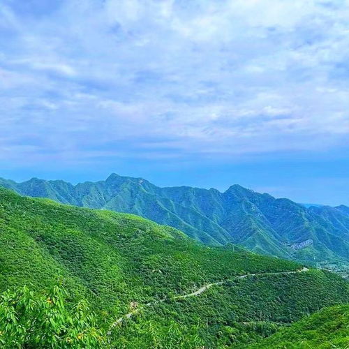 微信头像图片禅语仰山
