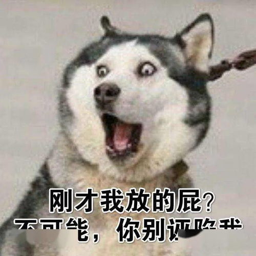  狗狗尿尿发朋友圈