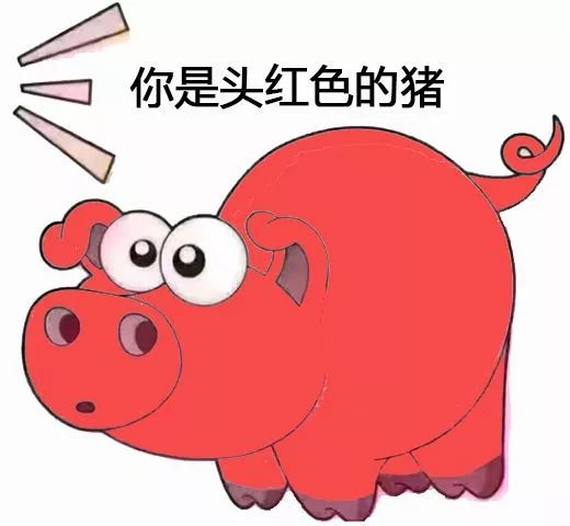 可爱猪猪头像合集抖音