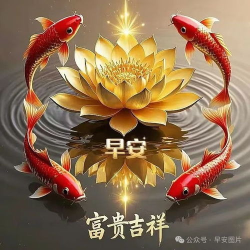  中老年专属早安祝福语配美图,让你的朋友圈瞬间火爆