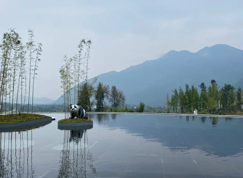  就地过年来一场亲子周边游,耍鱼凫湿地住泡泡屋,温暖过春节