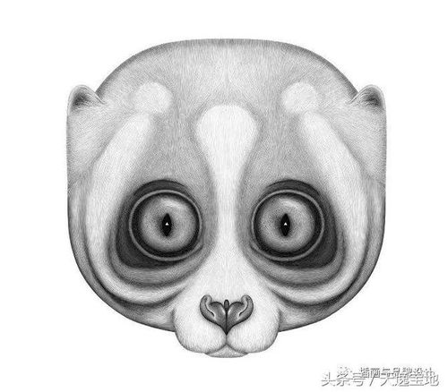  叮小动物们的证件照,看着好乖