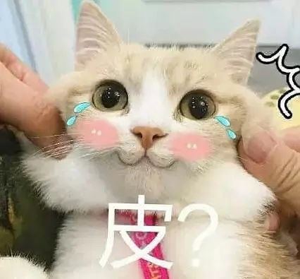  有湖北鹅来说说城里的计划生育数据吗