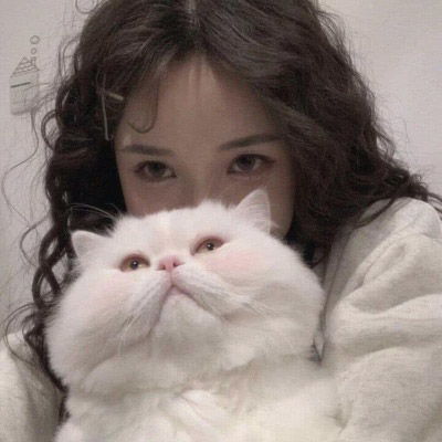 女生抱猫头像高清图片2020女生抱着猫很酷的头像