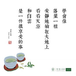  禅语心灯落叶