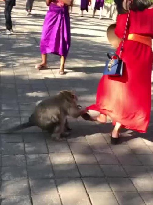  悟空快把鞋子还给姐姐,被的魔性笑声给迷倒