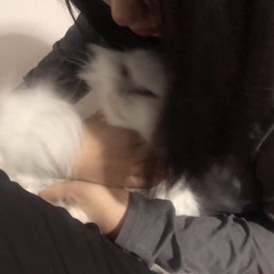  温柔抱猫部位闺蜜头遇到那么多女生头像我要个性网