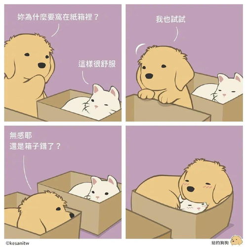  漫画版猫猫狗狗的日常,是怎么做到每一张都又萌又有梗的