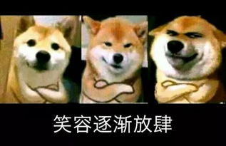  男子偷23万元名表卖150元网友知识改变命运