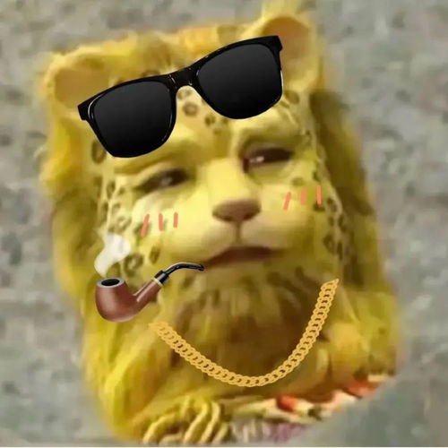  开黑团头宝贝你永远是我的no1,不说了游戏开了