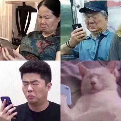  现在高校招生海报设计的这么野像极了xx网站这画风真的能招到学生吗哈哈哈哈...