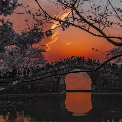  2023最新唯美黄昏风景头像