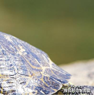  趣味整人朋友圈九宫格,教你如何整友友开搞