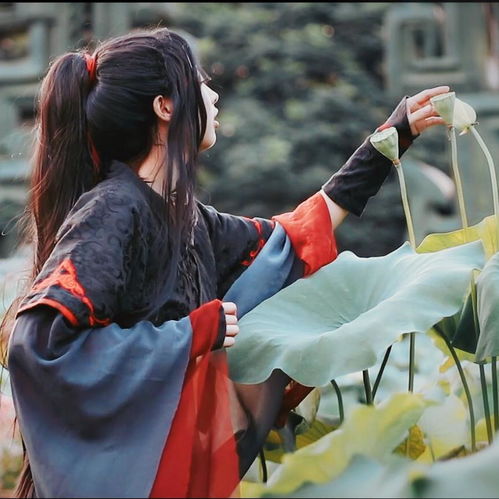  魔道祖师串烧尤克里里版杨可爱高音质在线试听魔道祖师串烧尤克里里版歌词歌曲下载酷狗音乐