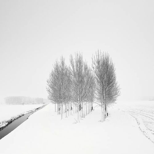  我打赌,你一定没见过这样的绝美雪景