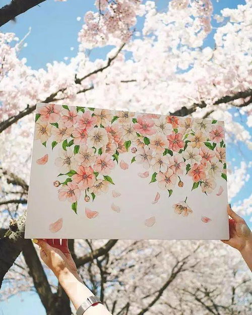  插画师yirangkim笔下的小清新植物手绘,让你的心情得到治愈