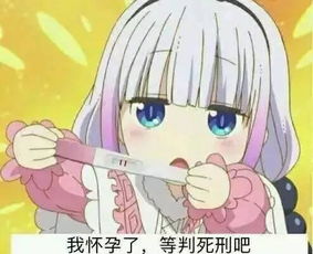  荷兰猪难产,剖还是不剖
