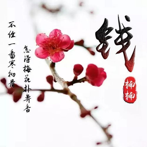  你有多久没有换过微信头像了,8款54张超赞3d微信头像,请查收