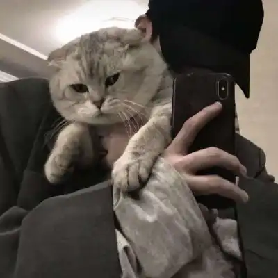 头像男抱猫咪图片高清