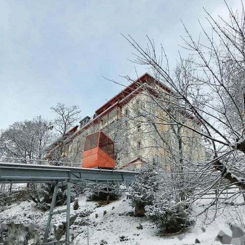  瑞士留学特殊时期瑞士酒店管理留学生活图鉴