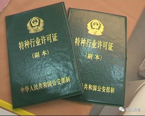  首批26家持证上岗莲都区民宿迈向规范化时代