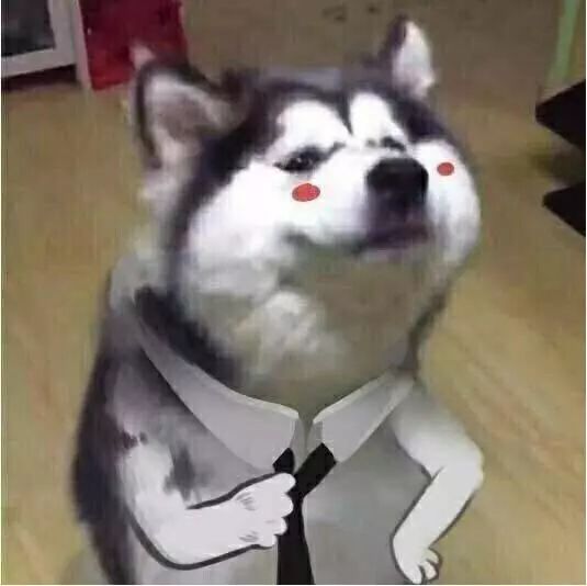  能电艺术站留一本书,在绿茵之上贝克汉姆