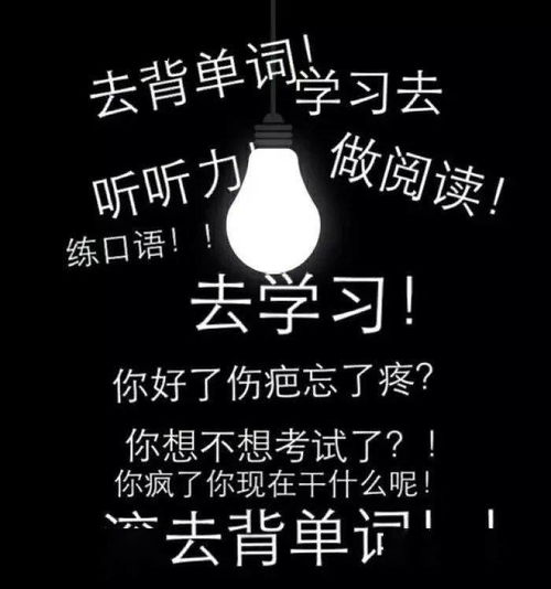  10天英语单词打卡和英语诗歌翻译活动开始啦